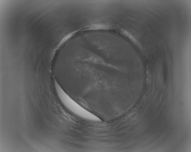 X0000054411213200508121716