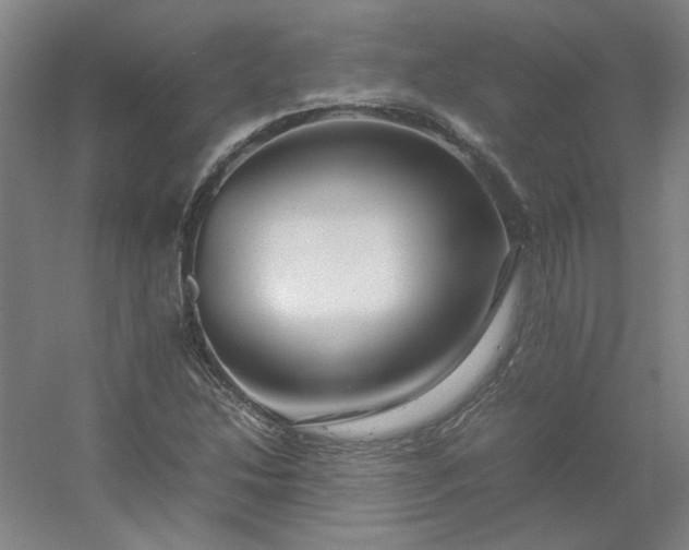 X0000054411214200508121716