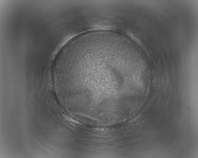 X0000054411215200508121716