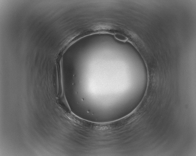 X0000054411217200508121716