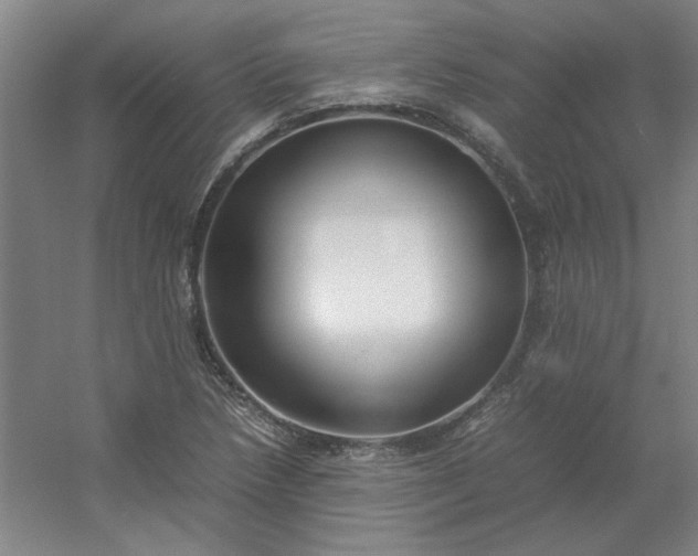 X0000054411218200508121716