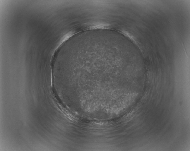 X0000054411219200508121716