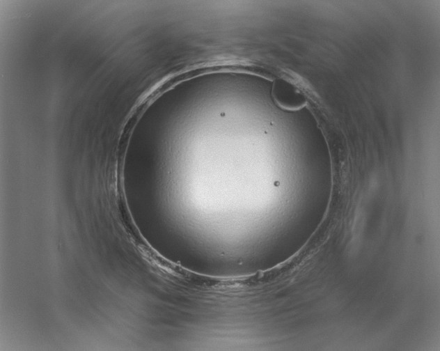 X0000054411220200508121716