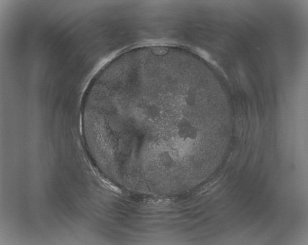 X0000054411221200508121716