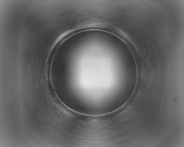 X0000054411222200508121716