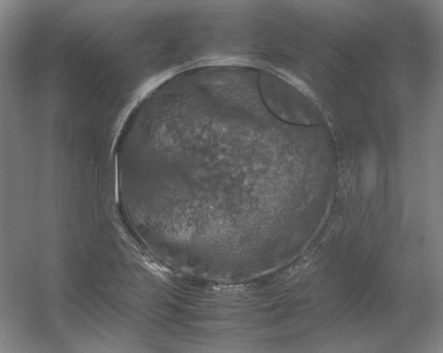 X0000054411223200508121716