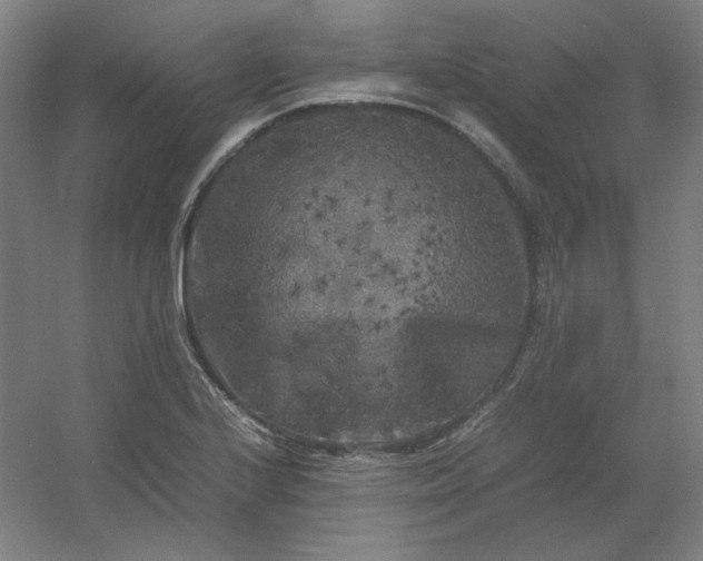 X0000054411224200508121716