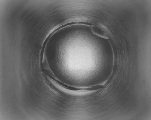 X0000054411226200508121716