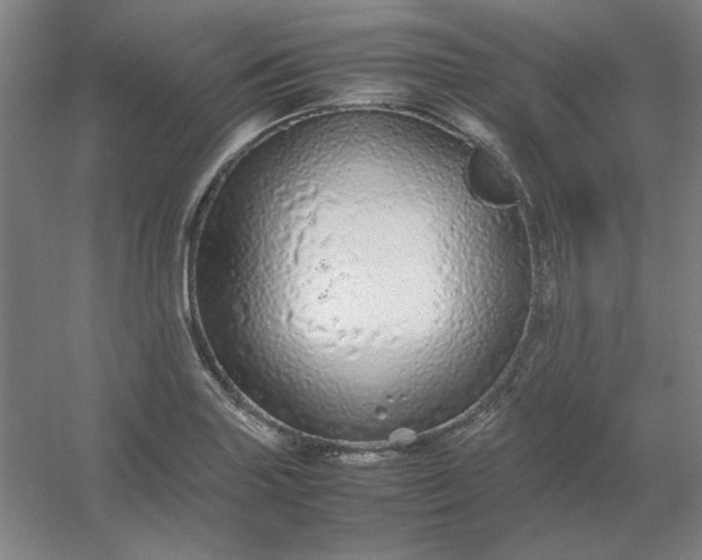 X0000054411227200508121716