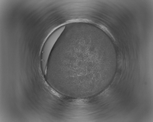 X0000054411228200508121716