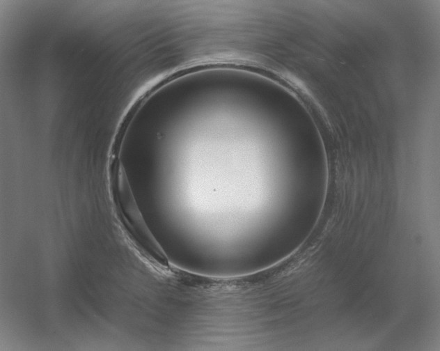 X0000054411230200508121716