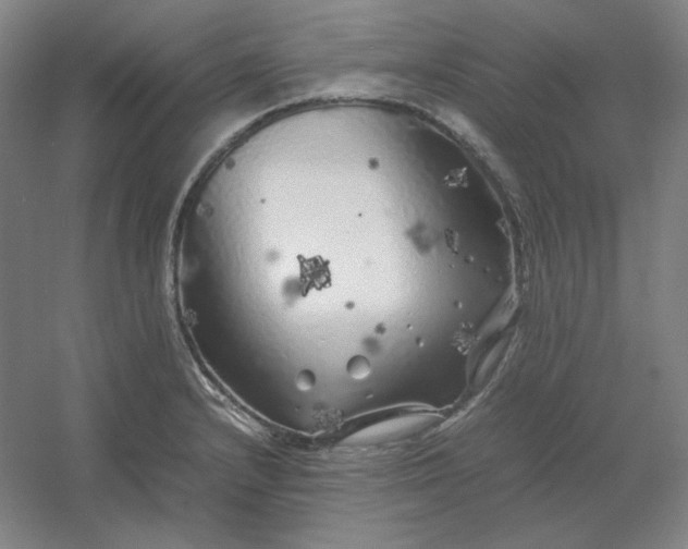 X0000054411232200508121717