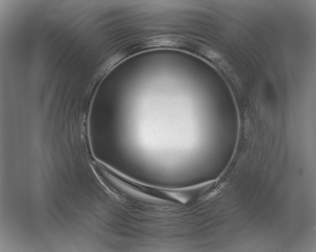 X0000054411233200508121717