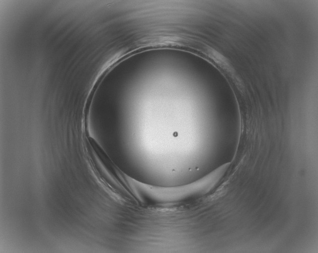 X0000054411234200508121717