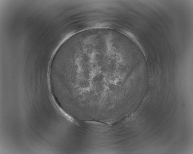 X0000054411235200508121717