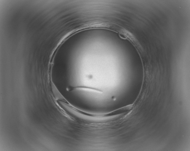 X0000054411236200508121717