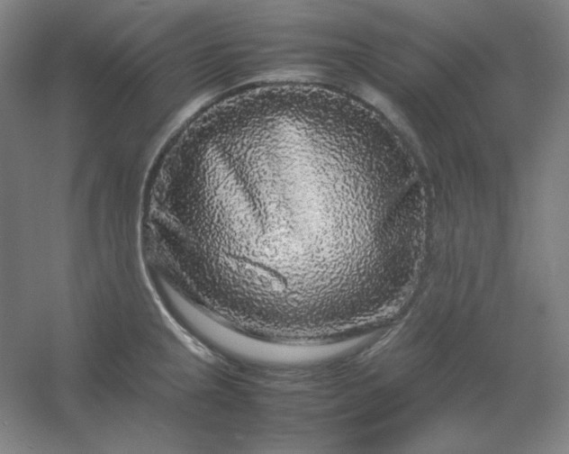 X0000054411237200508121717