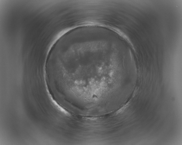 X0000054411239200508121717