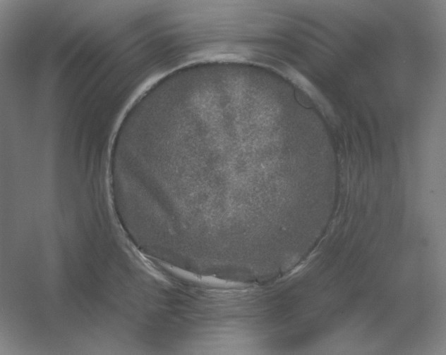 X0000054411240200508121717