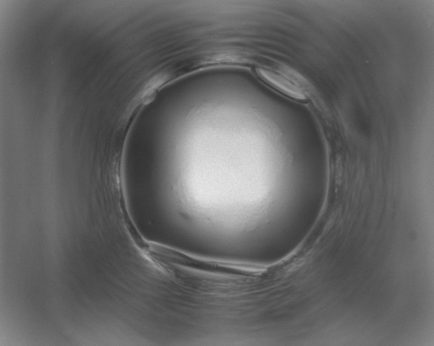 X0000054411241200508121717