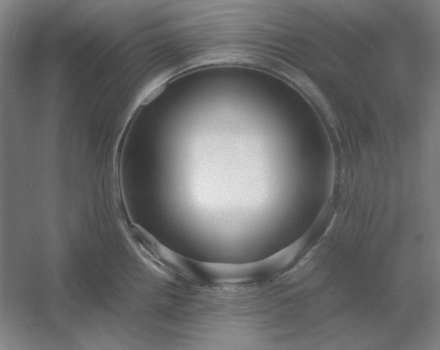 X0000054411242200508121717