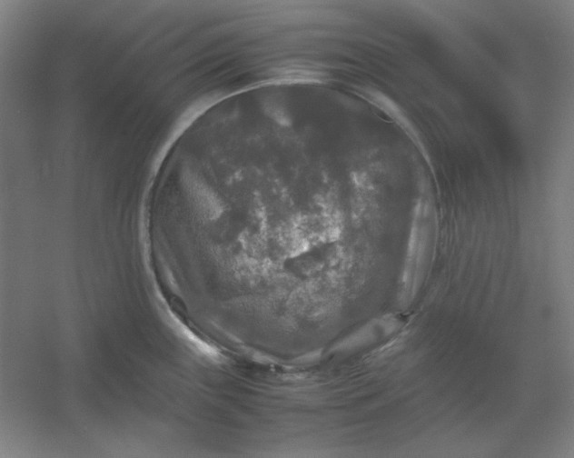 X0000054411243200508121717