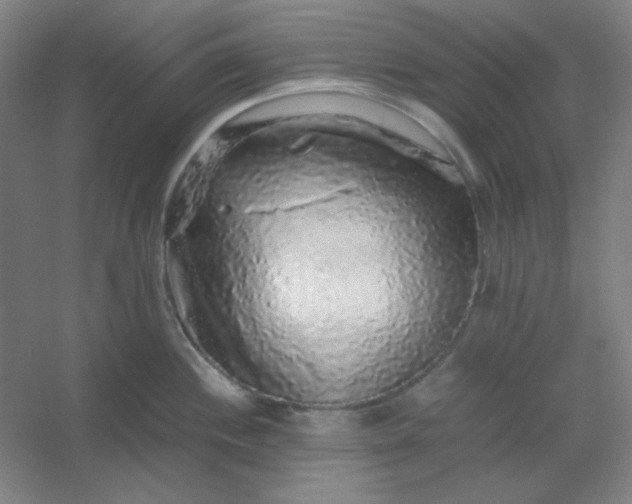 X0000054411244200508121717