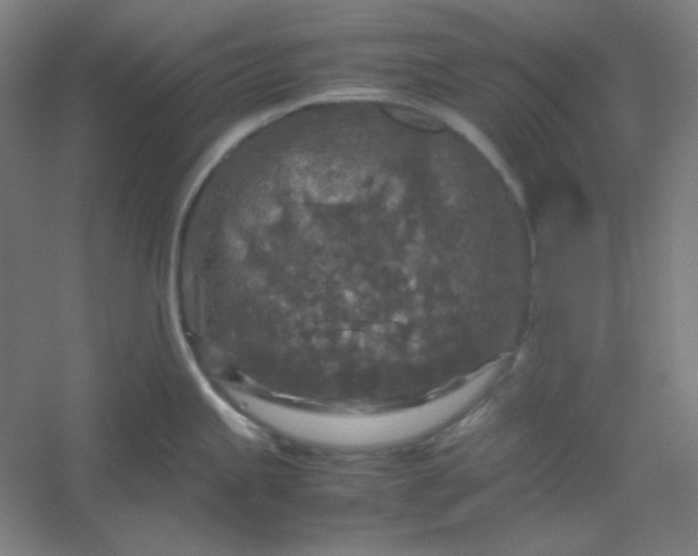 X0000054411245200508121717