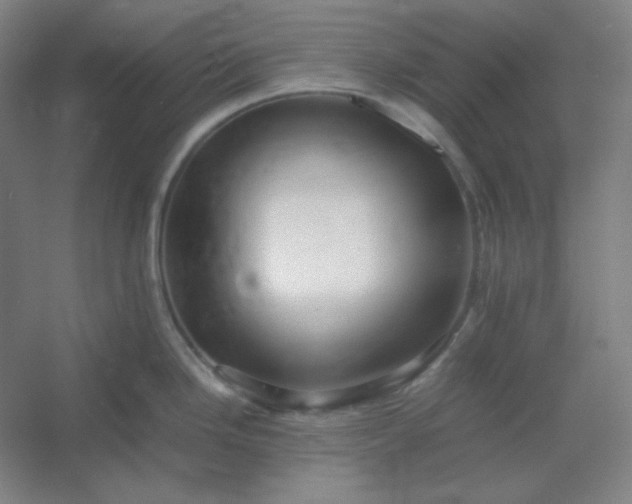 X0000054411246200508121717