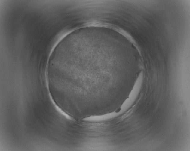 X0000054411247200508121717