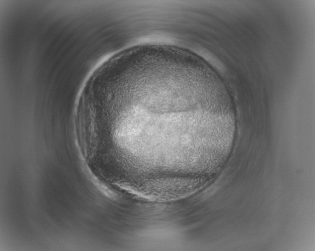 X0000054411248200508121717