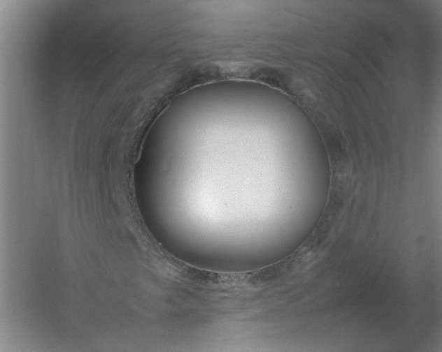 X0000054411249200508121716