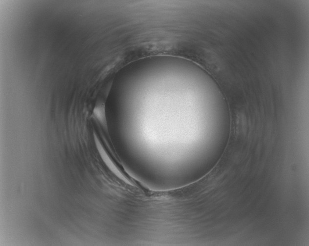 X0000054411250200508121716