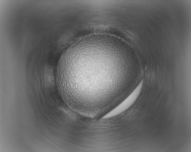 X0000054411252200508121716