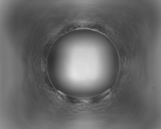 X0000054411253200508121716