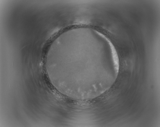 X0000054411254200508121716