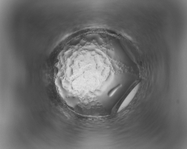 X0000054411255200508121716