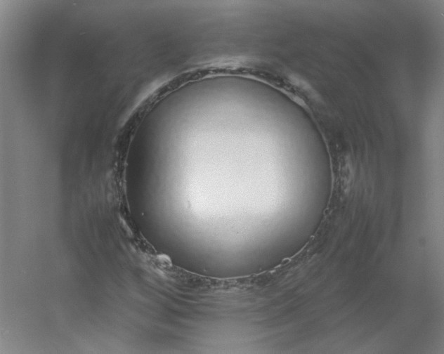 X0000054411256200508121716