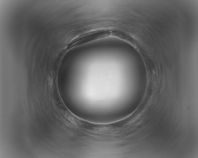 X0000054411257200508121716