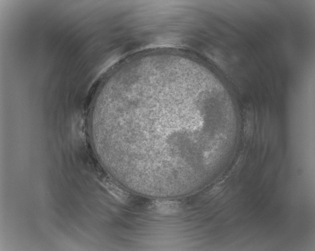 X0000054411258200508121716