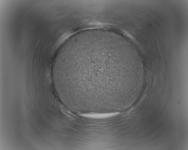 X0000054411259200508121716