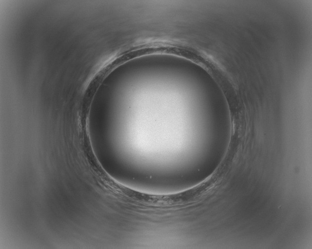 X0000054411261200508121716