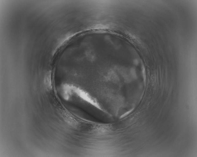 X0000054411262200508121716