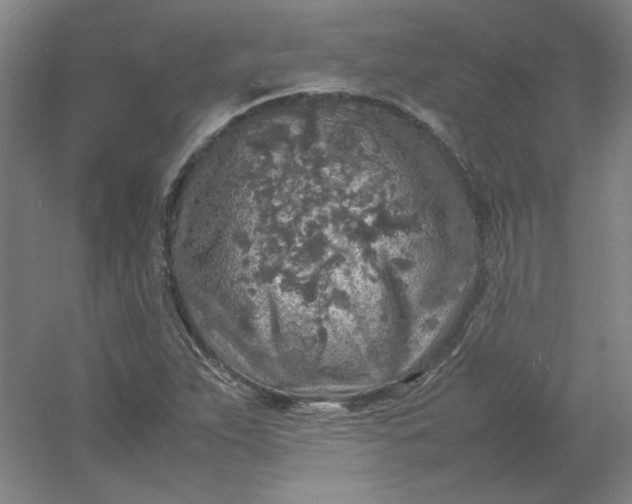 X0000054411263200508121716