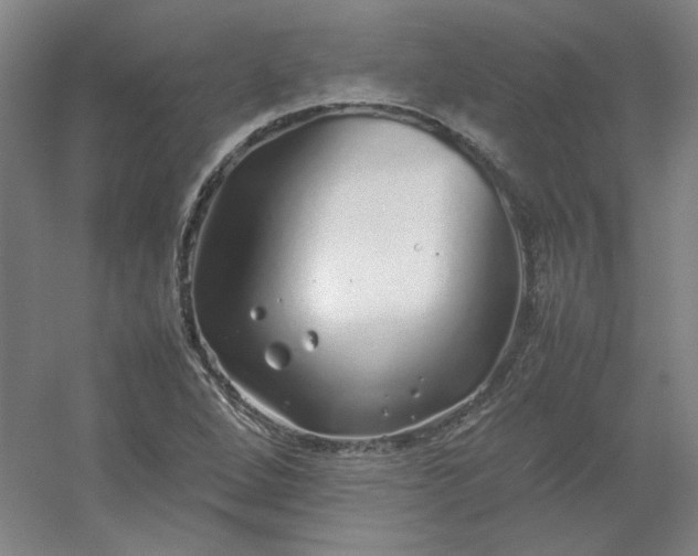 X0000054411264200508121716