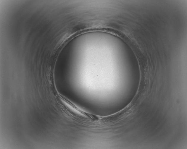 X0000054411265200508121716