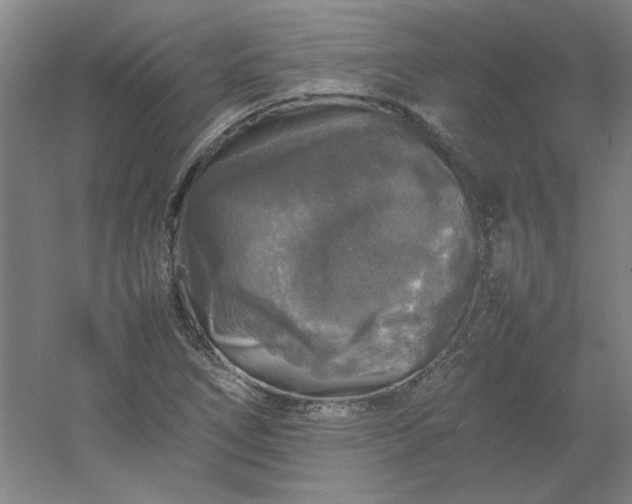 X0000054411266200508121716