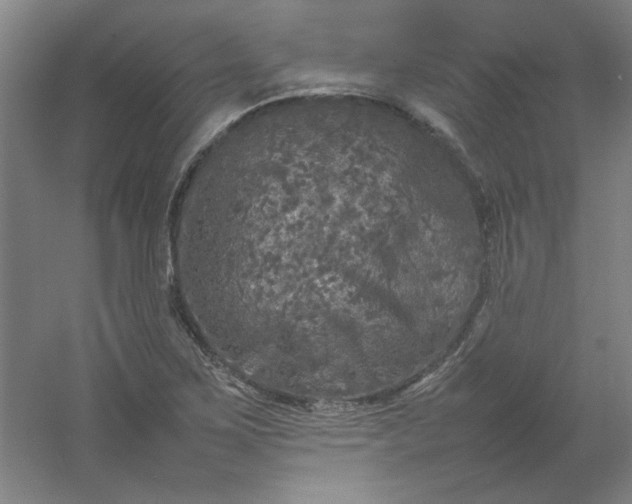 X0000054411267200508121716