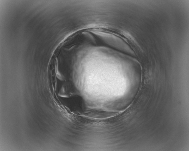 X0000054411268200508121716