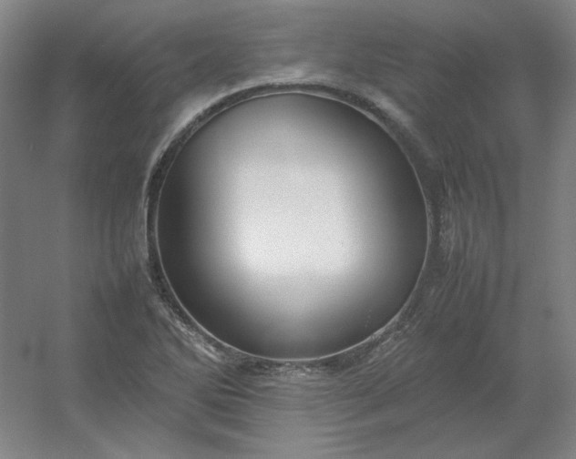 X0000054411270200508121716